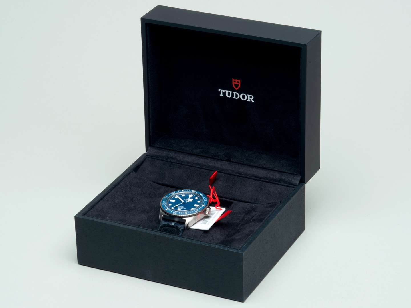 <p>Tudor Pelagos FXD men's watch</p>