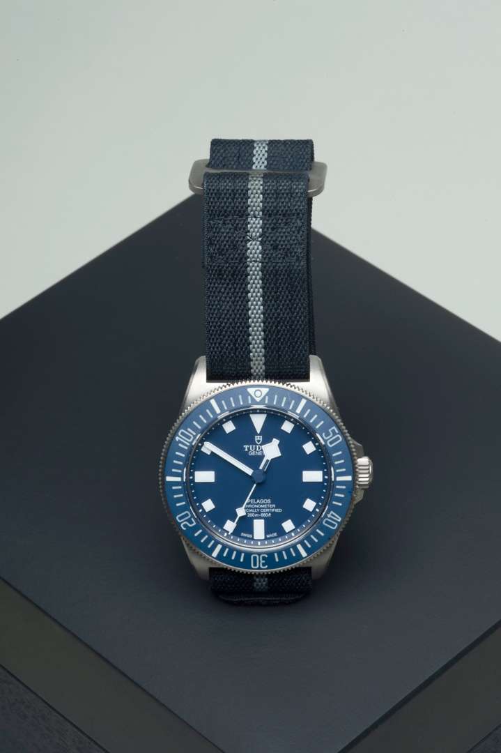 <p>Tudor Pelagos FXD men's watch</p>