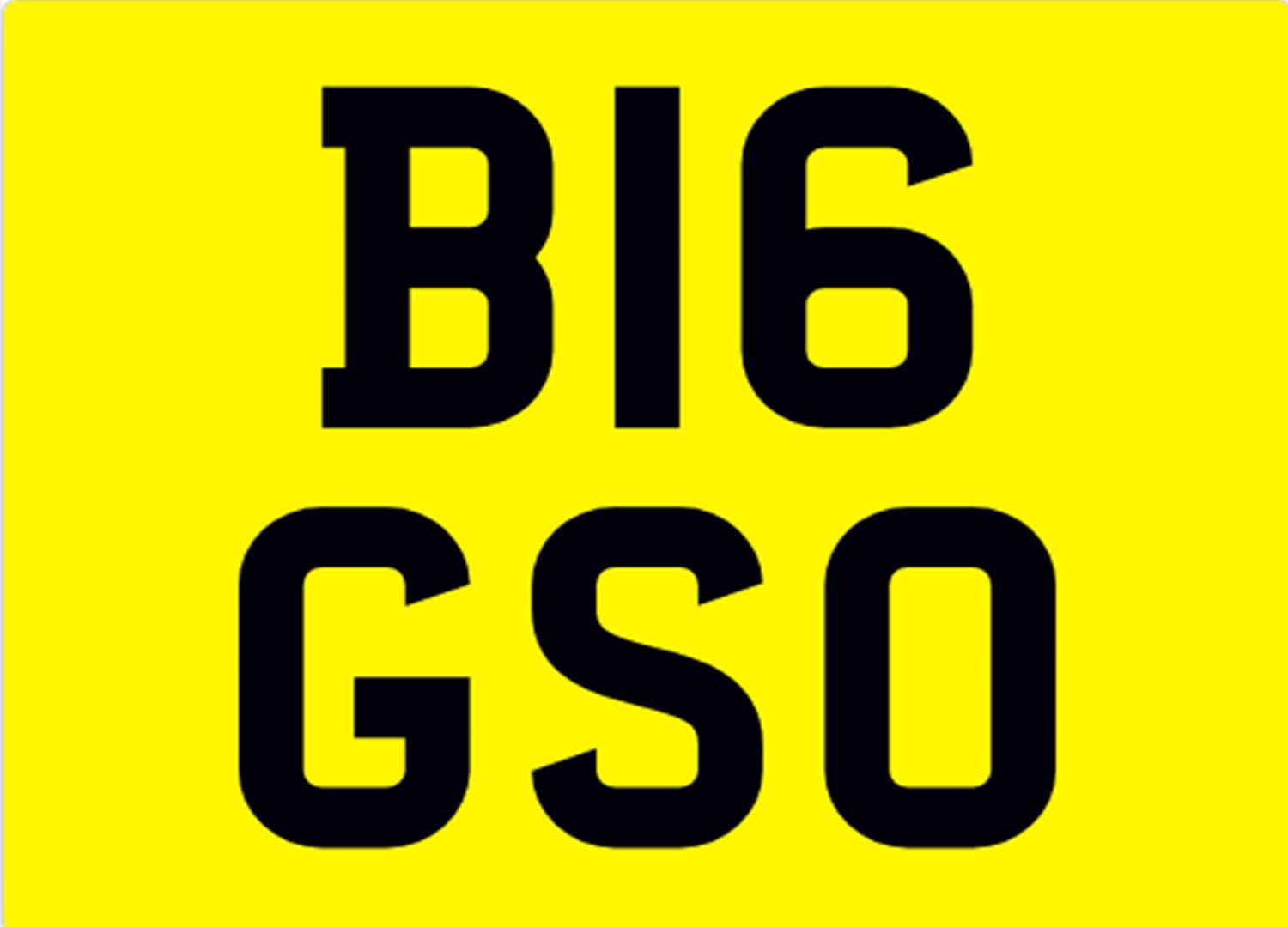 <p>&nbsp; B16 GSO Registration number</p>