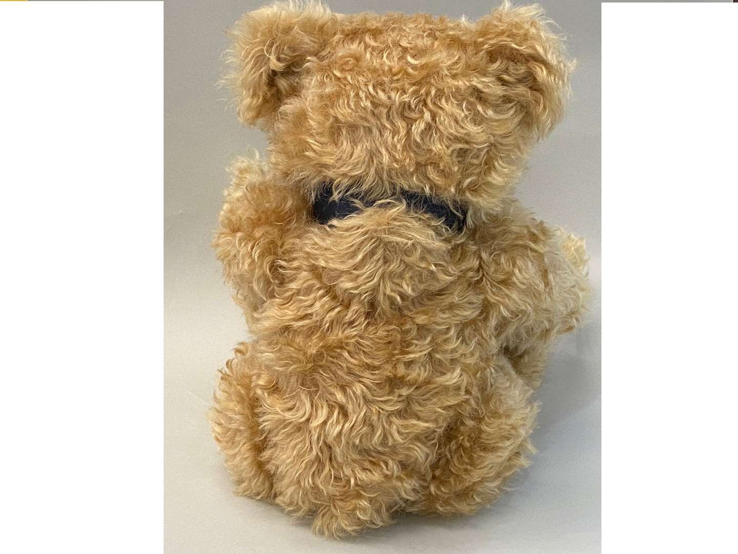 <p>STEIFF, a 2002, Centenary Teddy Bear, Blond, 44 cm. No 006819</p>