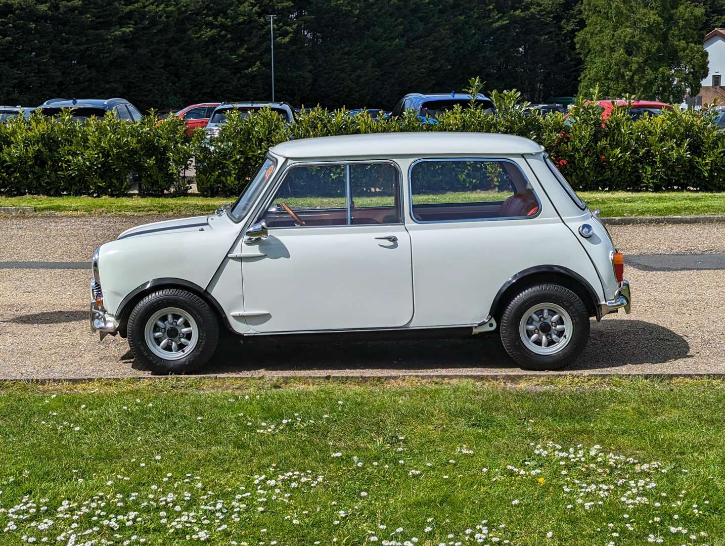 <p>1964 MORRIS MINI</p>