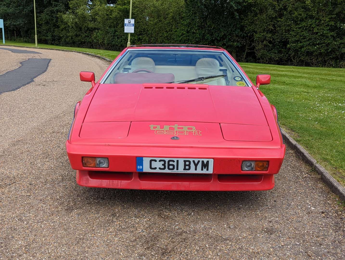 <p>1985 LOTUS ESPRIT TURBO</p>