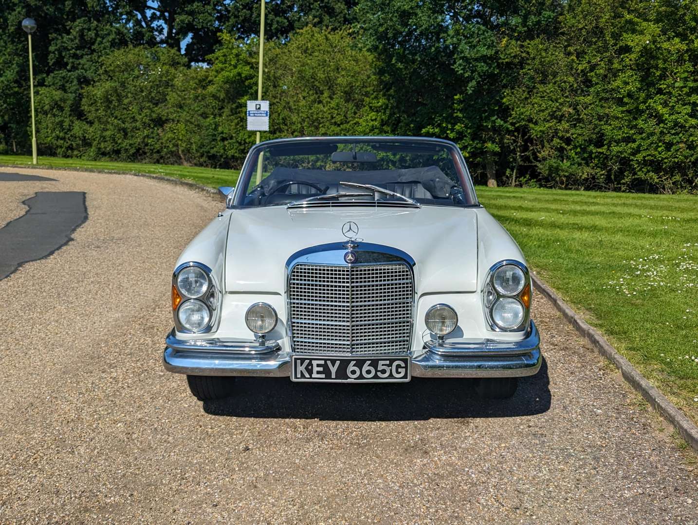 <p>1969 MERCEDES-BENZ 280 SE CABRIOLET&nbsp;</p>