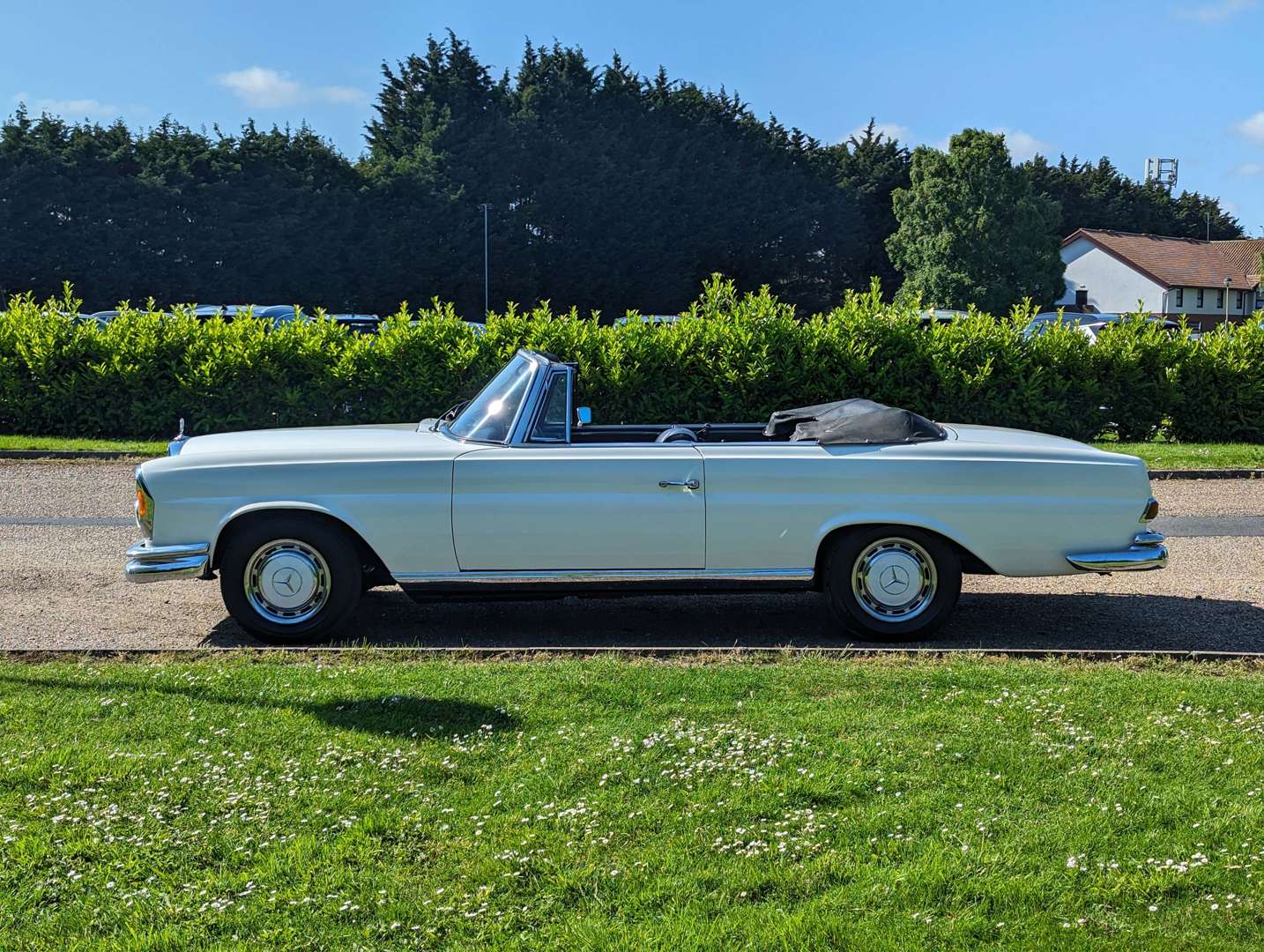 <p>1969 MERCEDES-BENZ 280 SE CABRIOLET&nbsp;</p>