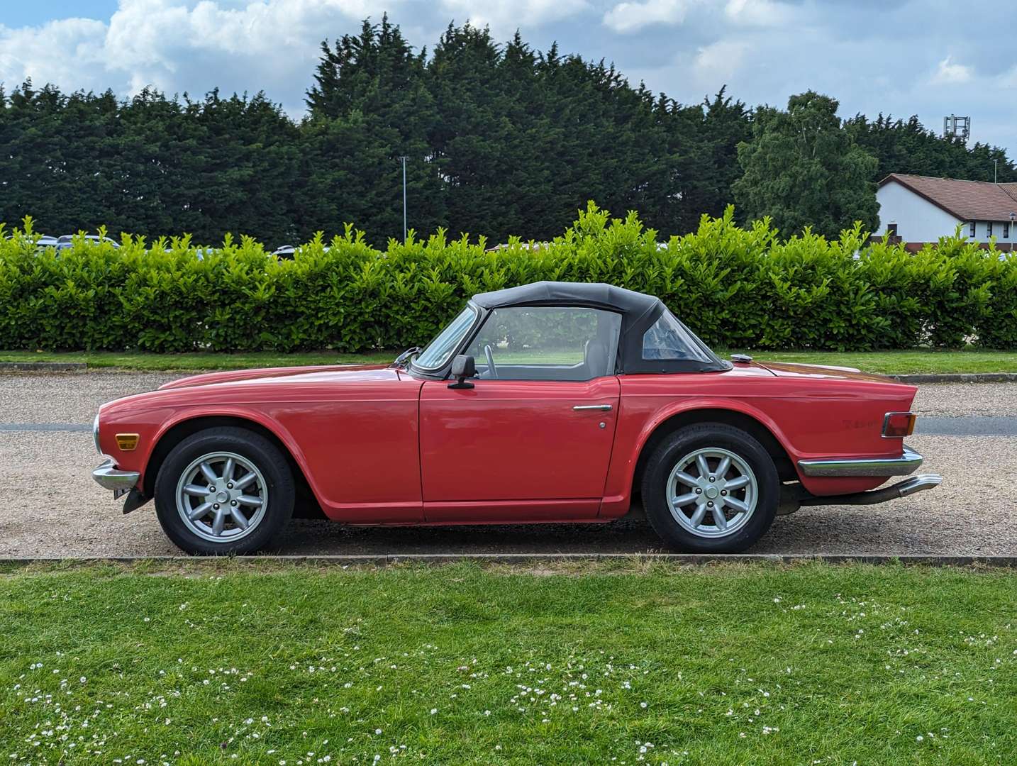 <p>1970 TRIUMPH TR6</p>