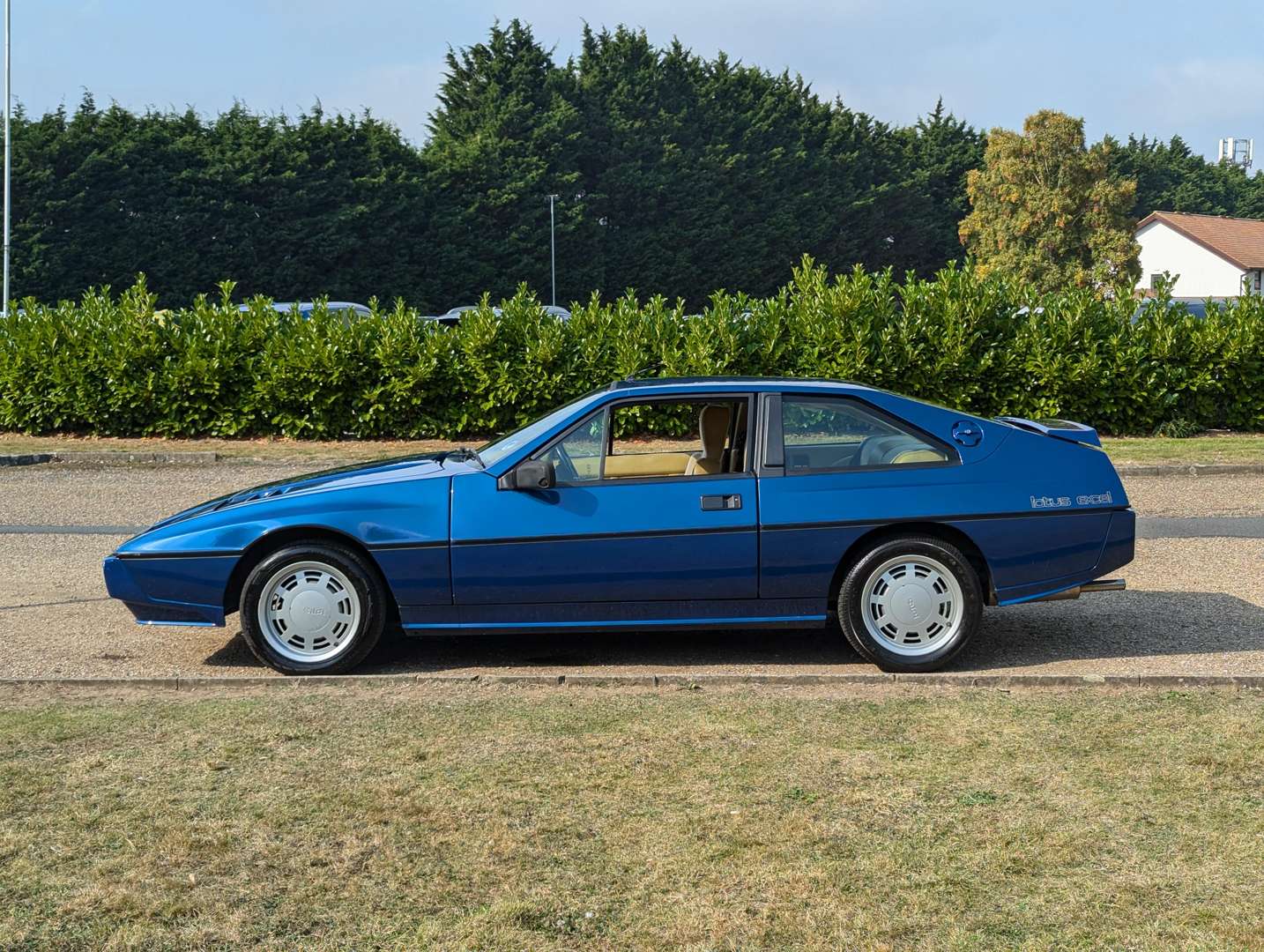 <p>1985 LOTUS EXCEL</p>