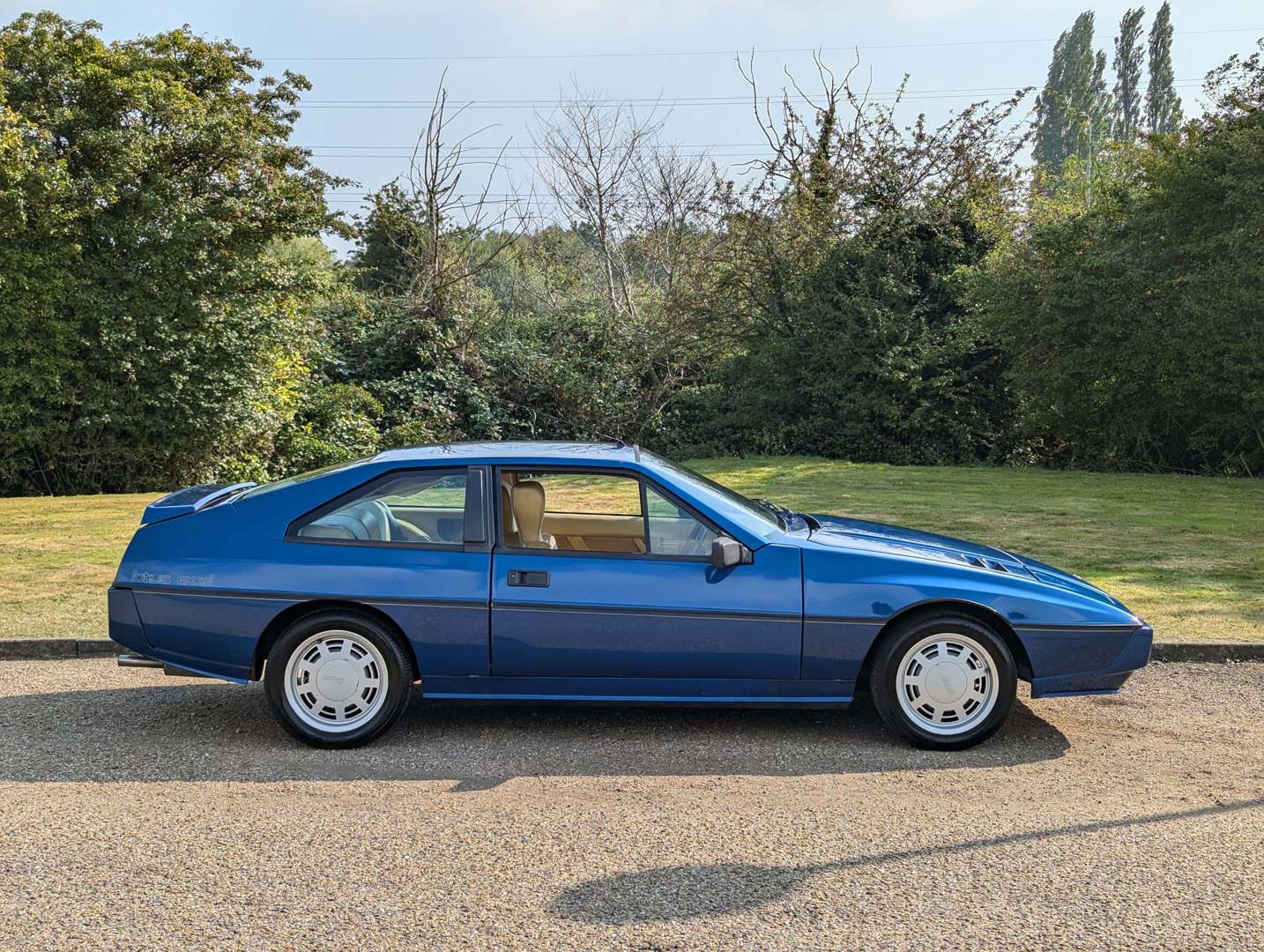 <p>1985 LOTUS EXCEL</p>