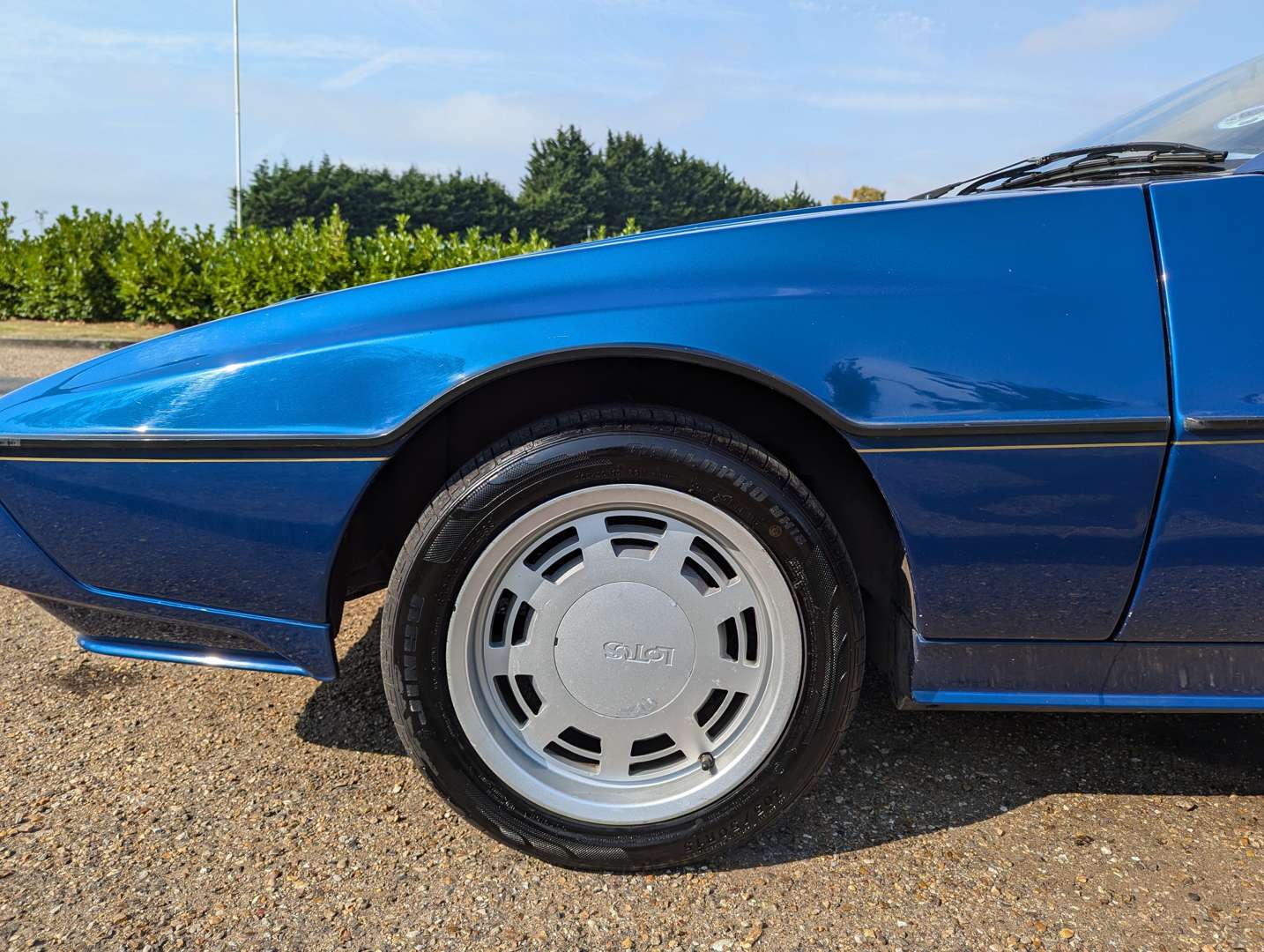 <p>1985 LOTUS EXCEL</p>