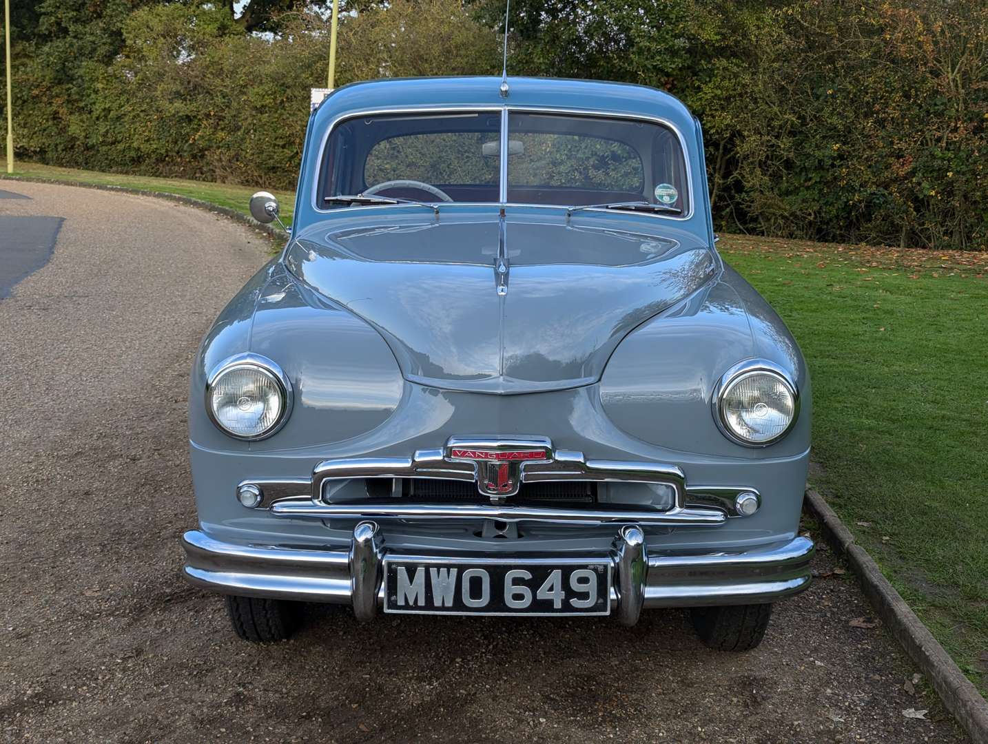 <p>1954 STANDARD VANGUARD</p>