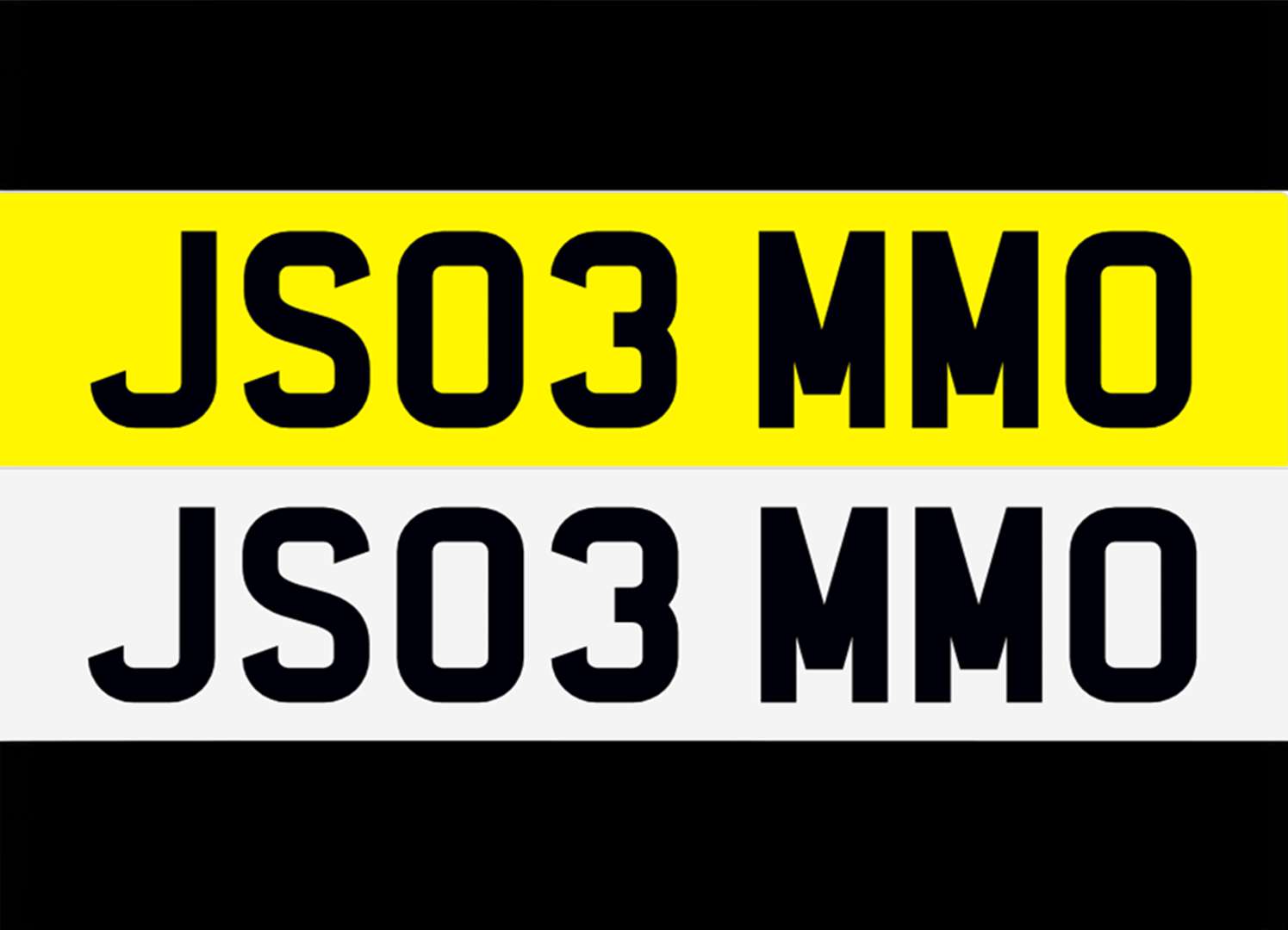 <p>&nbsp; JS03 MMO Registration Number</p>