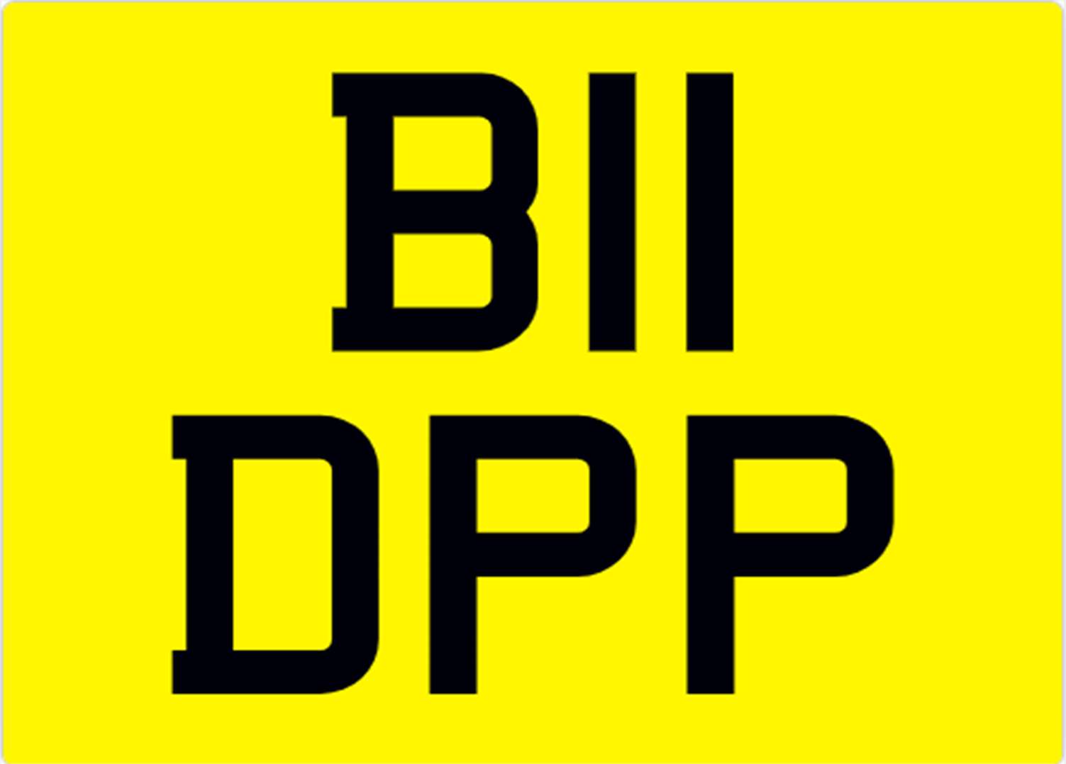 <p>&nbsp; B11 DPP Registration Number</p>